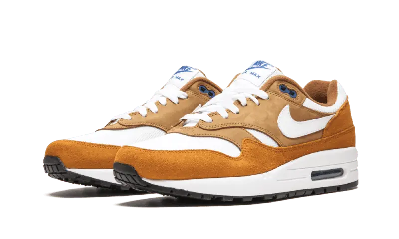 Nike Air Max 1 Curry (2018)