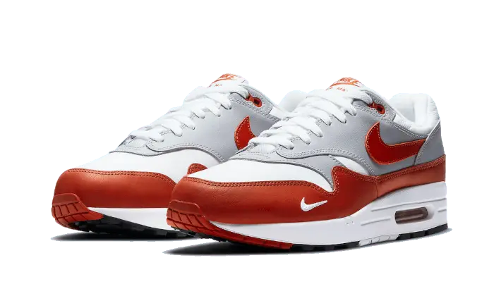 Nike Air Max 1 Martian Sunrise - DH4059-102