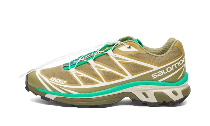 Salomon XT-6 Dried Herb